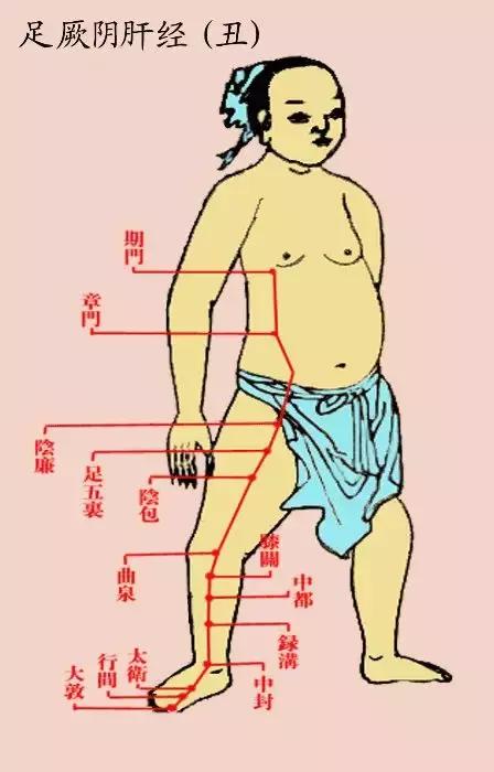 任脉的准确位置图，任脉督脉的准确位置图（常按这几个穴位）