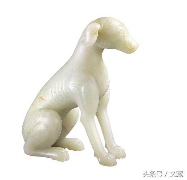 牧羊犬是什么意思，牧羊犬有几种（关于“狗”的那些事）