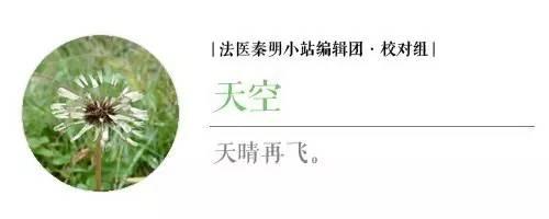 谜证电影详细剧情，谜证电影剧情解析（没有尸体的凶案现场）