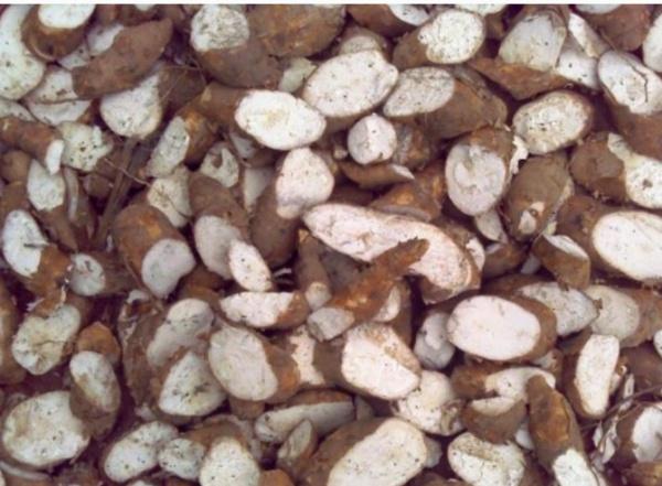 北海必吃美食攻略，广西北海必吃美食攻略（一定有你爱吃的那一款）