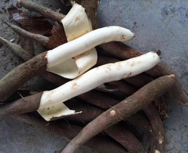 北海必吃美食攻略，广西北海必吃美食攻略（一定有你爱吃的那一款）