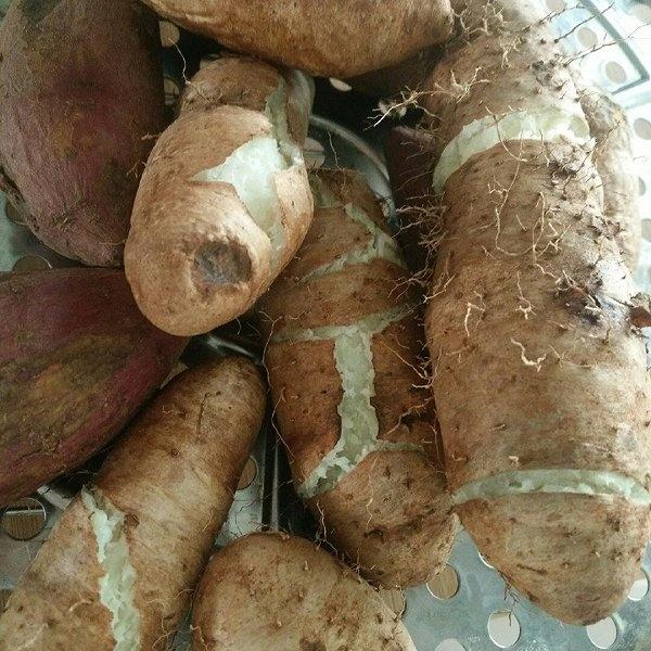 北海必吃美食攻略，广西北海必吃美食攻略（一定有你爱吃的那一款）