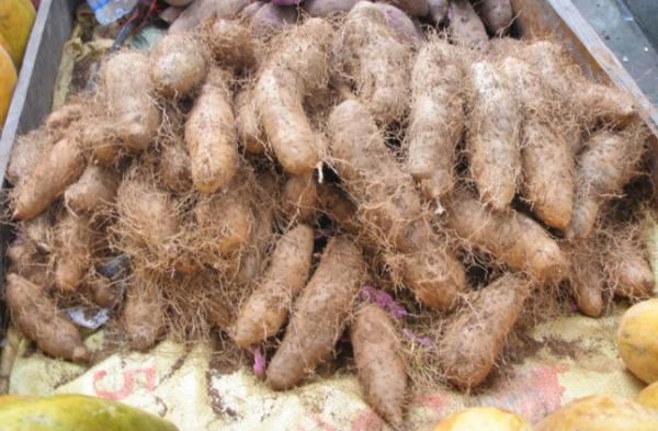 北海必吃美食攻略，广西北海必吃美食攻略（一定有你爱吃的那一款）