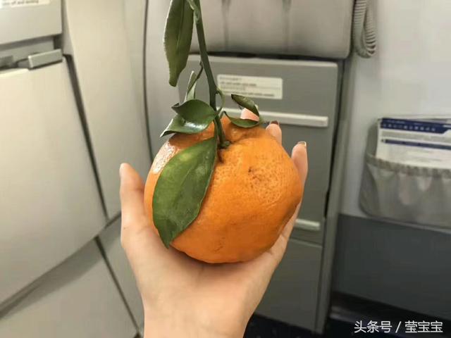 丑橘的营养价值及功效，丑橘的营养与功效（直击：丑橘虽然很好吃）