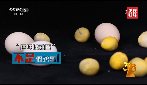 春分鸡蛋为什么能立起来，春分为什么可以立蛋（你对鸡蛋的力量一无所知）