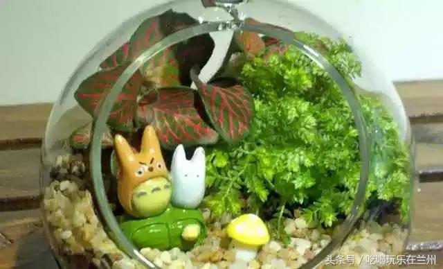 兰州有哪些适合情侣好玩的景区，给你介绍一下兰州市里这几个好玩的地方（其实你还可以带着她去这些地方）