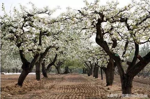 兰州有哪些适合情侣好玩的景区，给你介绍一下兰州市里这几个好玩的地方（其实你还可以带着她去这些地方）