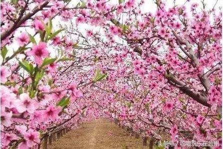 兰州有哪些适合情侣好玩的景区，给你介绍一下兰州市里这几个好玩的地方（其实你还可以带着她去这些地方）