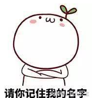 手打耳洞好还是枪打好，打耳洞枪打好还是手打好（法国打耳洞及保养攻略）