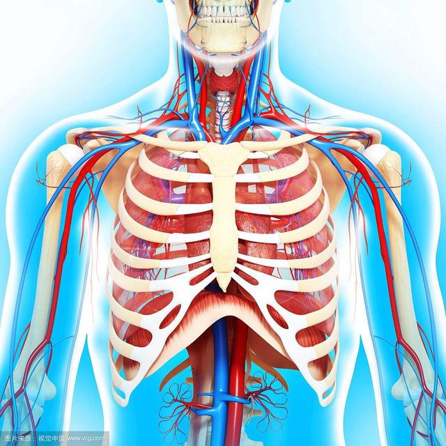 七窍玲珑心指什么人，七窍玲珑心是谁（其实我们每个人的心都有9窍）
