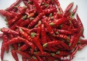 中国辣椒品种大全，辣椒的种类（中国从南到北11种最能赚钱的辣椒）