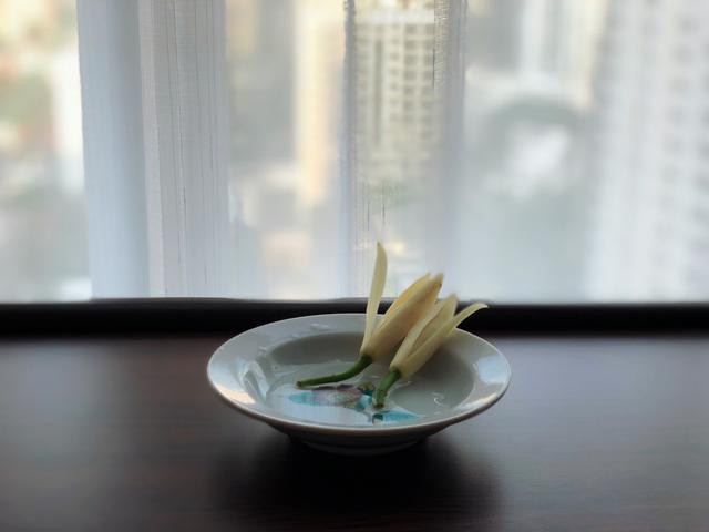 香荚蒾，让我们的孩子对这些花有更多的了解（香荚蒾图片）