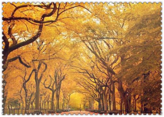 夏天是什么时候，夏天什么时候开始（春天、夏天、秋天、冬天分别是从几月到几月）