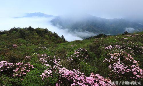 永州好玩的一个地方---阳明山，去永州阳明山玩什么季节合适（走进阳明山）