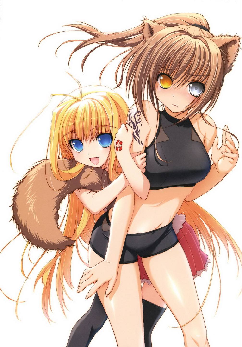 动漫新番(老番)介绍之《龙之界点》,受邀介绍,欢迎关注-质信十强榜