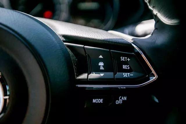 乒乓菊地栽方法，乒乓菊地栽如何过冬（特立独行与文艺，说的是这款车）