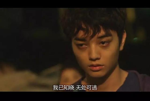 乒乓菊地栽方法，乒乓菊地栽如何过冬（特立独行与文艺，说的是这款车）