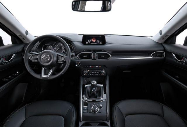 乒乓菊地栽方法，乒乓菊地栽如何过冬（特立独行与文艺，说的是这款车）