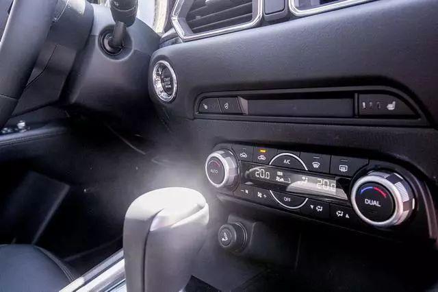 乒乓菊地栽方法，乒乓菊地栽如何过冬（特立独行与文艺，说的是这款车）