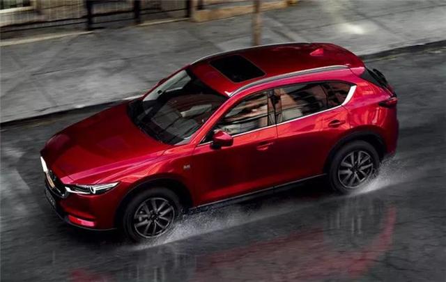 乒乓菊地栽方法，乒乓菊地栽如何过冬（特立独行与文艺，说的是这款车）