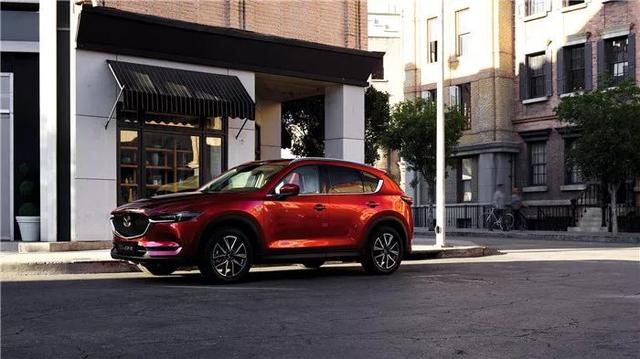 乒乓菊地栽方法，乒乓菊地栽如何过冬（特立独行与文艺，说的是这款车）