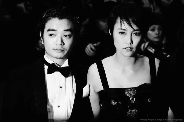 乒乓菊地栽方法，乒乓菊地栽如何过冬（特立独行与文艺，说的是这款车）