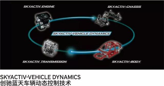 乒乓菊地栽方法，乒乓菊地栽如何过冬（特立独行与文艺，说的是这款车）