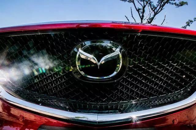 乒乓菊地栽方法，乒乓菊地栽如何过冬（特立独行与文艺，说的是这款车）