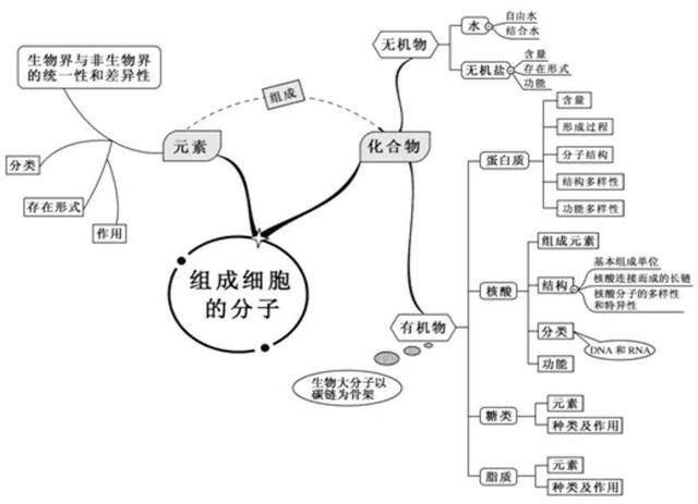 高中生物思维导图，高中生物思维导图简单11张（看透高中生物这20张思维导图）