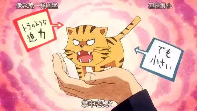 龙与虎结局，龙与虎结局好吗（青春是冒着酸甜气泡的苏打水）