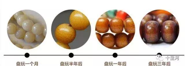 菩提根手串有什么功效，女人带菩提根手串有什么好处（菩提根的盘玩、包浆、开片过程与感悟）