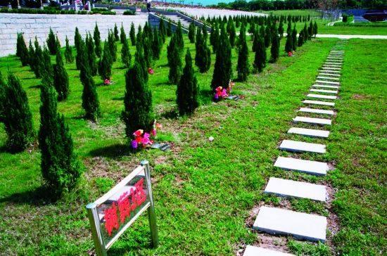 冰葬是如何处理的，冰葬是什么原理（冰葬——淘汰火葬的新型方式）