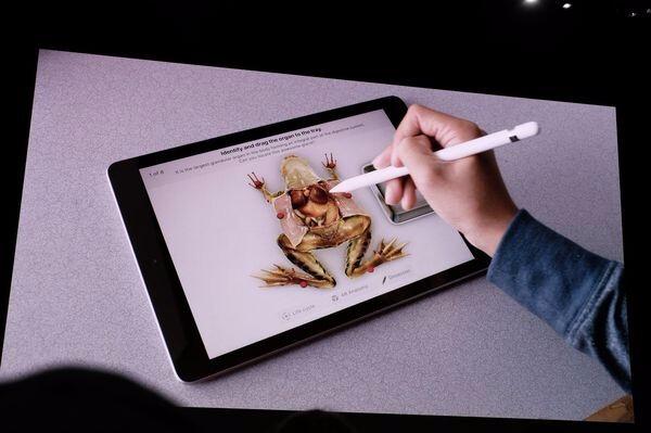 ipad 行货，美版ipad和国行有什么区别（苹果新iPad正式发布）