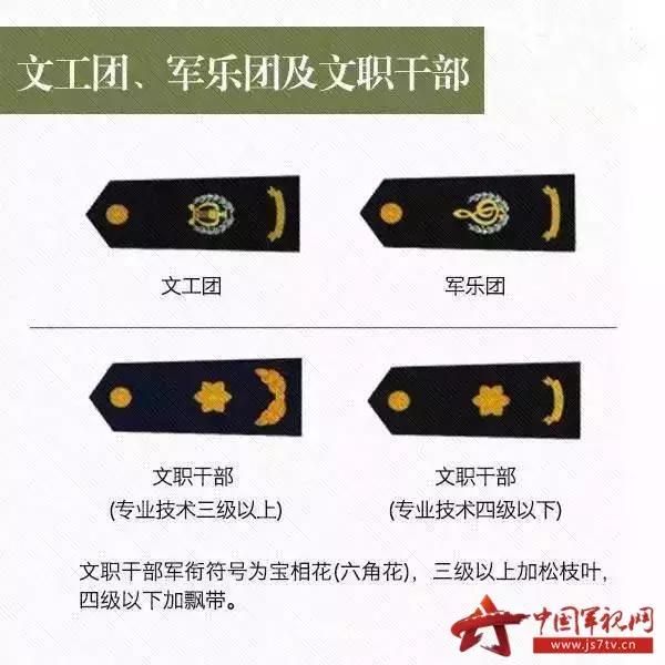 新军衔一览表图片，新军衔的详细情况（关于中国的军衔等级大全）
