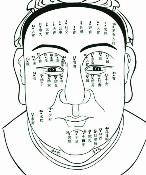 男人眉毛高挑面相,有福之人的面部特征-相术-荣耀易学