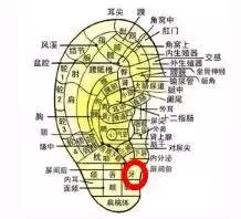 按虎口有什么作用，按摩虎口穴位的作用（牙疼、头疼、肚子疼）