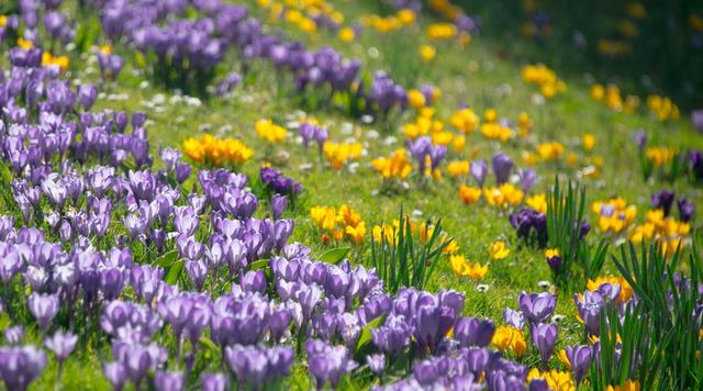 季节性过敏皮肤起红疹图片，脸上起红疹是怎么了（你离皮肤过敏还有多远）