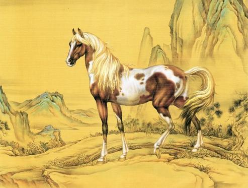 2002年属马的是什么命，2002年属马的是什么命女（如果你是属马之人）