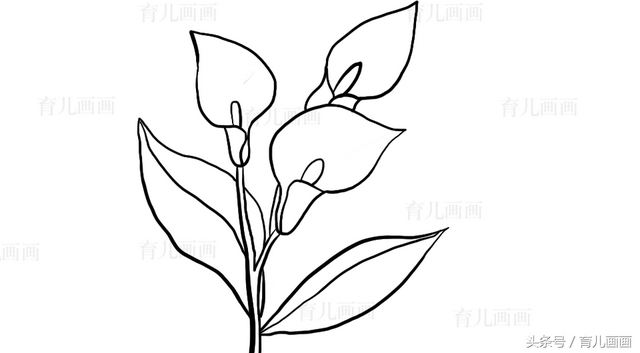 蔬菜简笔画图片大全，画简笔画：蔬菜（植物、花草、树叶、水果、蔬菜简笔画大全、喜欢画画的宝贝收藏）