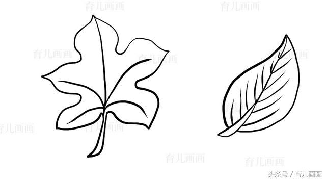 蔬菜简笔画图片大全，画简笔画：蔬菜（植物、花草、树叶、水果、蔬菜简笔画大全、喜欢画画的宝贝收藏）