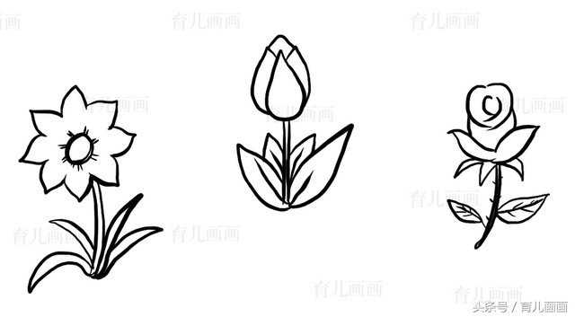 蔬菜简笔画图片大全，画简笔画：蔬菜（植物、花草、树叶、水果、蔬菜简笔画大全、喜欢画画的宝贝收藏）