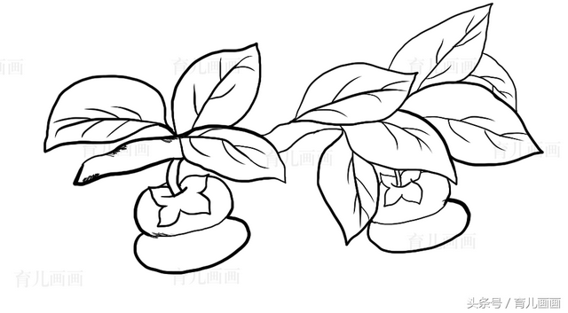 蔬菜简笔画图片大全，画简笔画：蔬菜（植物、花草、树叶、水果、蔬菜简笔画大全、喜欢画画的宝贝收藏）