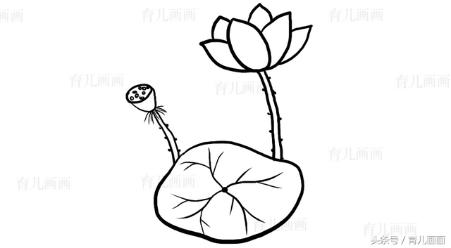 蔬菜简笔画图片大全，画简笔画：蔬菜（植物、花草、树叶、水果、蔬菜简笔画大全、喜欢画画的宝贝收藏）