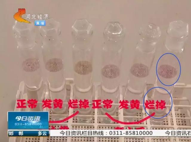 西兰花变黄了还能吃吗，西兰花变黄了还能吃吗的短视频（不新鲜蔬菜会导致癌症高发）