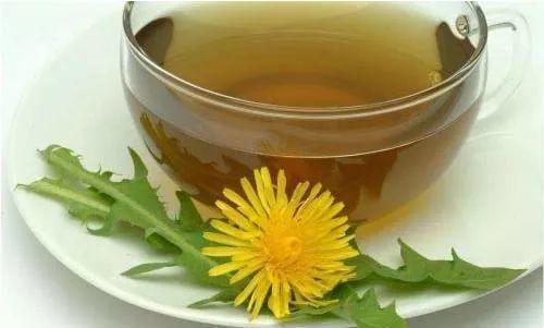 蒲公英叶子图片，蒲公英茶的制作方法（蒲公英祛火清热）