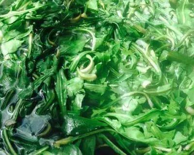 蒲公英叶子图片，蒲公英茶的制作方法（蒲公英祛火清热）