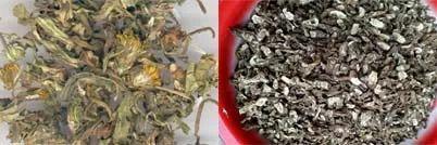 蒲公英叶子图片，蒲公英茶的制作方法（蒲公英祛火清热）