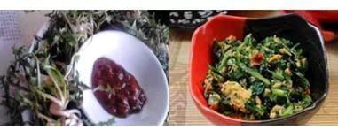 蒲公英叶子图片，蒲公英茶的制作方法（蒲公英祛火清热）