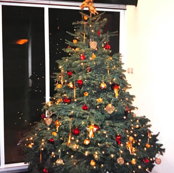 张国荣唐唐谁是妻子，唐唐和张国荣（写下第36年的爱情）