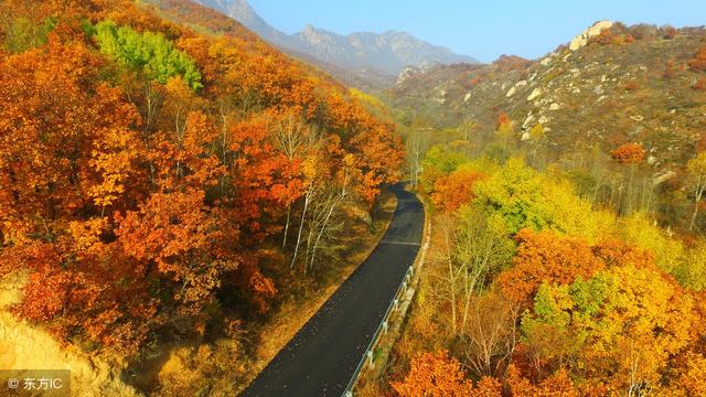关于疾的成语有哪些，和疾有关的成语（一日看尽长安花。40个成语40首诗）